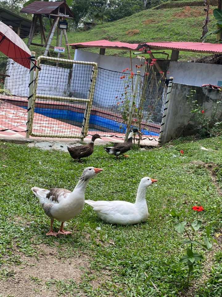 481957975_617850534337436_608135795807060999_n