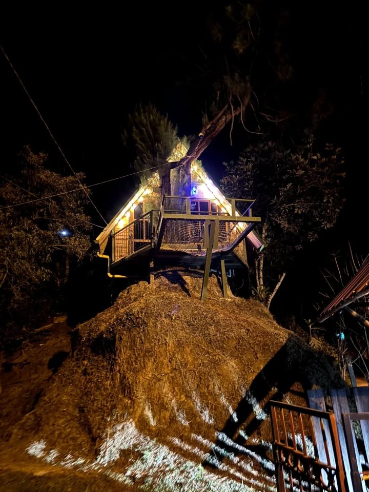 531597629_18021494666731800_6505562537349546410_n